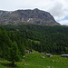 Alpe Vazzeda inferiore e Piz Fora/Sassa di Fora.