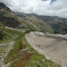 Auf der reich bewachsenen W-Moräne des Belvederegletschers Richtung Alpe Fillar, links darüber nochmals der Cima di Jazzi SE-Grat