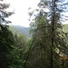 Der Schluchteneinschnitt der Schwarza kann sich sehen lassen ...