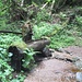 Dieser Brunnen in der Schwarzahalde ist der erste seit Lenzkirch