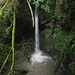 Der Haselbachfall - ein wahres Bijou der Natur!