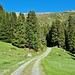 <b>A partire dai 1800 m, dopo circa 20 minuti dalla partenza la pendenza per fortuna diminuisce e in breve, nei pressi del Punt da Muttala (1823 m), la strada esce dal bosco. </b>