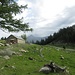 Alpe Arami