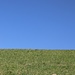 aufwärts
