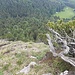 Blick hinunter zur Schlüsselstelle. Die Ausgesetztheit des Geländes ist hier leider nicht so gut erkennbar