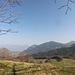 hinten die Chiemgauer Alpen
