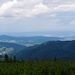 Blick vom Hohlohturm Richtung Rheinebene und Pfälzerwald
