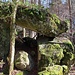 ...zu einem Felsblock-Ensemble im Wald.