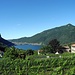 Weinberge in Rovio, im Hintergrund Lago di Lugano