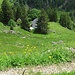 Alp Jöggelisberg