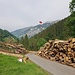 Holzschlag unterhalb der Alp Chloster