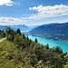 Der wunderbar türkis gefärbte Brienzersee - einer der schönsten Seen der Schweiz