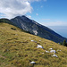 Cime delle Pozzette
