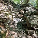 <b>Ora inizia la salita. Il sentiero scalinato si sviluppa ai piedi della parete rocciosa del Sasso Tròlcia; esso impone al camminatore dei vertiginosi sguardi sul greto della Maggia.</b>
