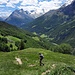 Allez Bertrand, fais semblant de courir au moins 