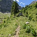 Trail past Haltenhütte
