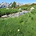 Il Ri de Seda all'Alp de Balnisc.