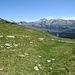 Scendo un po' sul sentiero per vedere meglio le montagne della Val Chiavenna.