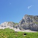 Brünnelistock und Rossalpelispitz von Hohfläschenmatt