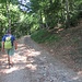 La strada della Linea Cadorna è ancora in ottime condizioni, e si può anche seguire (come faremo noi all’andata) per salire al Monte Piambello con pendenza tranquilla e costante.