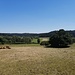 Und über offene Feldflur