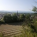 Auf in den Kaiserstuhl