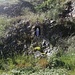 ...und Lourdesgrotte bei Vöhrenbach