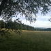 Feldbergblick vom Staatsberg