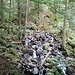 Teichschlucht