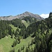 Blick von der Valorsalpe zum Hohen Freschen