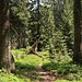 Weg zum Dümelekopf
