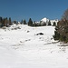 bei der Sauermöseralm