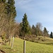 im Aufstieg