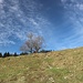 weiter aufwärts