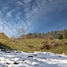 bei der Rinderbrachalm