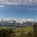 Frühling vs Winter