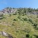 Die Vegetation lichtet sich