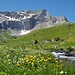 Dündebach mit Dündehorn.