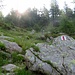 Sentiero Corte Mognola - Lago Mognola