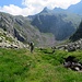Camminando sul lato del ruscello