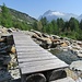 Il ponte all'Alp de Confin