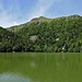 Die Natursteinmauer am Lac de Schiessrothried. Auf der mäßig geneigten Mauer unterhalb blühten zahlreich Fingerhut und Ginster