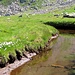 Il ruscello che solca la valle