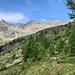 Alta Val Chironico