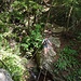 secondo ponte tibetano