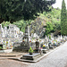 Zurück am Ausgangspunkt, Blick durchs Tor des alten Friedhofs von Chiavenna: er ist leider über die Mittagsstunden geschlossen – aber die Toten brauchen schliesslich auch mal ihre Ruhe ...