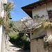 in Pregasina