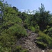 sentiero di cresta che porta a Punta Larici
