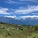 herrlicher Ausblick - über Nessel zu Gipfeln am südlichen Alpenkamm