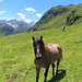 Ankunft an der Verbella Alpe